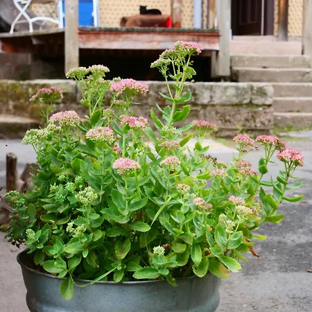 Gruenes Tal Karl Rabennest