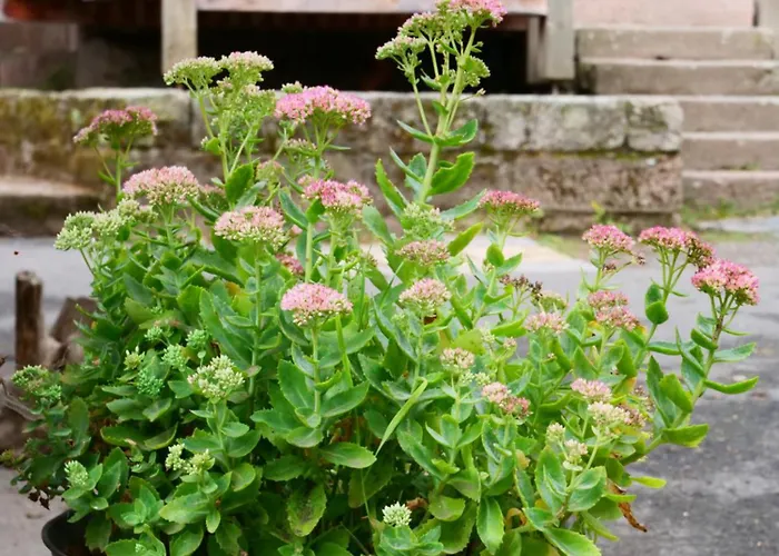 Gruenes Tal Karl Rabennest