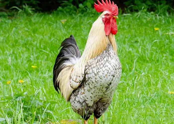 Apartamento Gruenes Tal Karl Rabennest